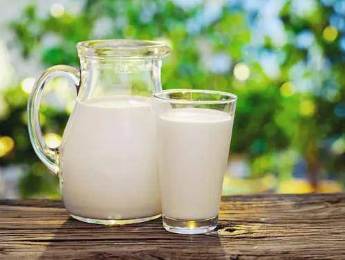 蒙牛纯牛奶与维维豆奶哪个脂肪高.