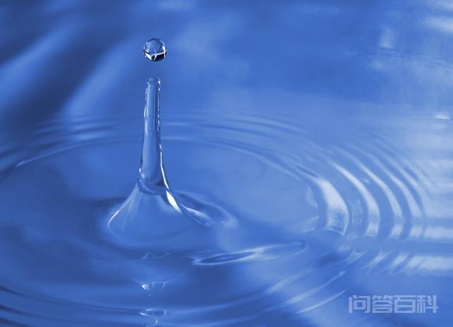 人教版高中英语教材选修8重点单词汇总插图