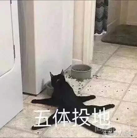 这些国货化妆品靠抄袭一年挣50个亿,也太丧心病狂了吧!-图片18