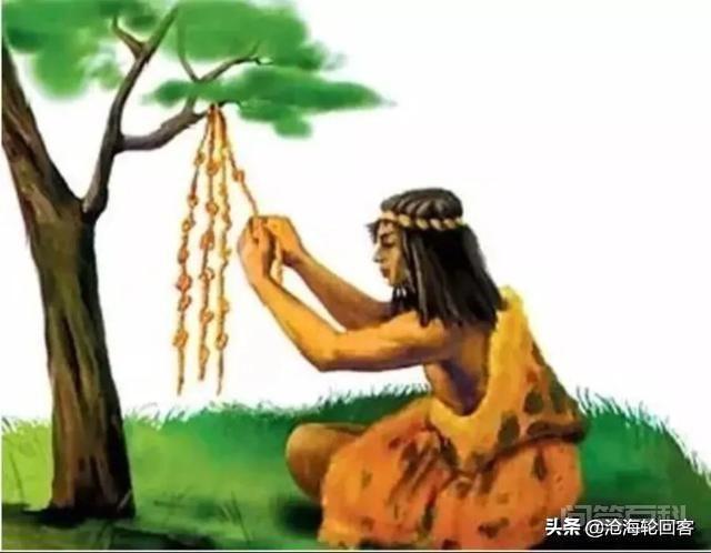 数字是印度人创造的，那祖冲之的圆周率是如何记录的？哪个在前？插图