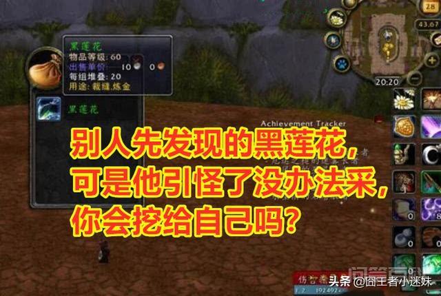 魔兽世界怀旧服别人发现的黑莲花可他引怪没法采你会采吗