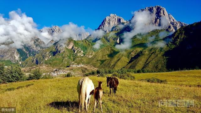 甘肃甘南有什么好玩的地方?-图片8