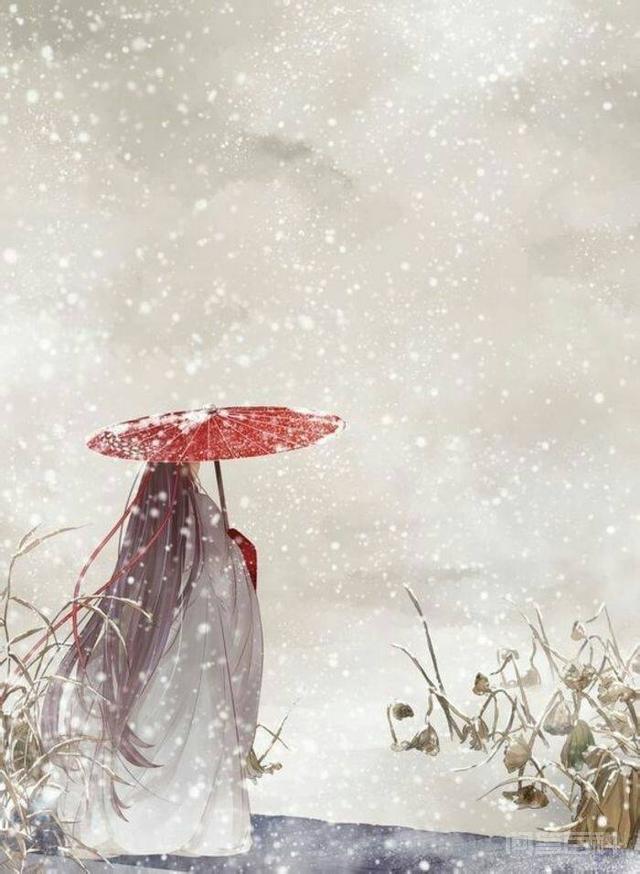 李清照《清平乐》柴门闻犬吠,风雪夜归人.