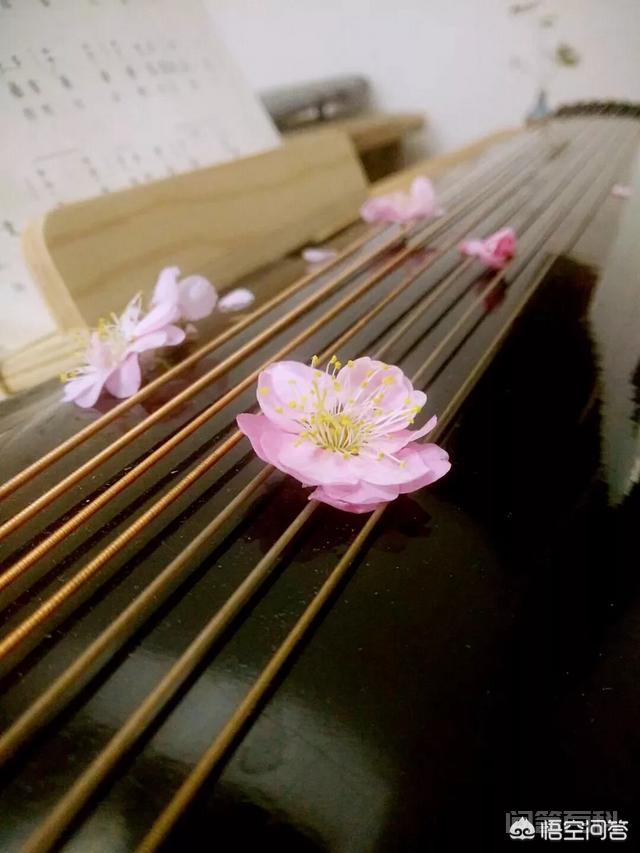 大多数古琴有多少根弦？插图