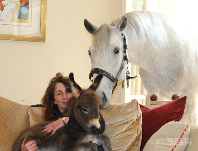 2022-06-10158两个不同的物种杂交产下后代就是打破生殖隔离了吗?