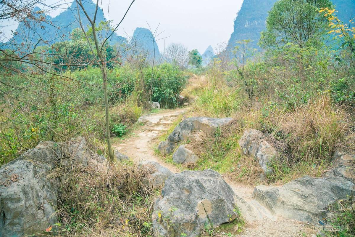 民间故事:男子借宿尼姑庵,将小尼姑拉进浴室,次日庵主遭了大难-图片7