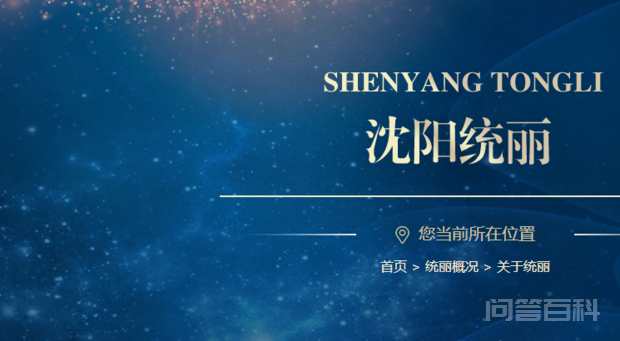 统丽国际美容美发培训学校是大学吗插图