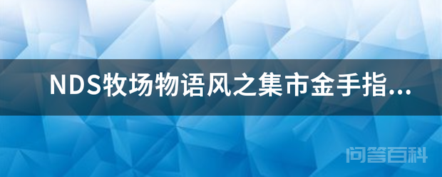 NDS牧场物语风之集市金手指有哪些？插图