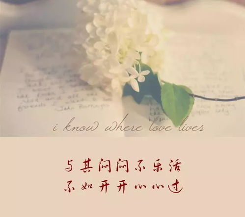 饥饿游戏原著最终结局?(饥饿游戏小说下载)-图片2