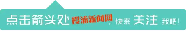祝贺霞浦美女成亚洲武术冠军！武功高，人漂亮～～插图