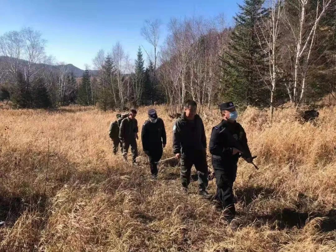 吉林长白山多部门联合调查“毒杀黑熊”事件插图1
