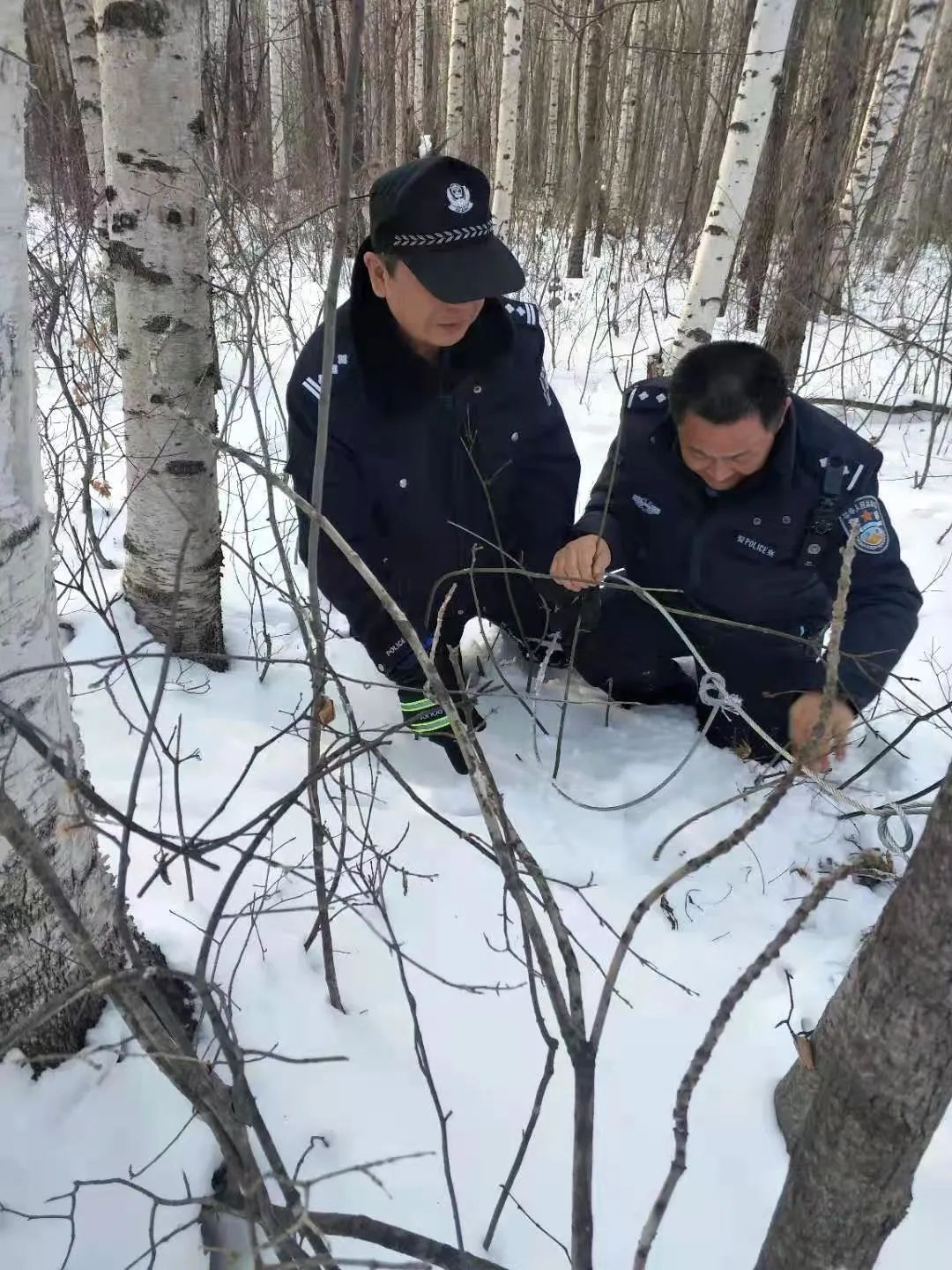 吉林长白山多部门联合调查“毒杀黑熊”事件插图2