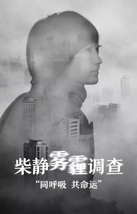 雾霾调查穹顶之下完整版 柴静《穹顶之下》视频 - 蚂蚁问答网