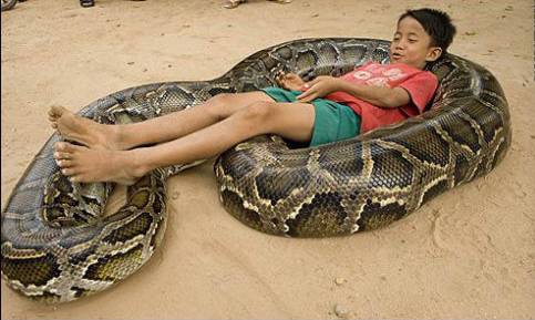 蟒蛇吞人_同学们参加团体操表演,8人一队少1人,_蟒蛇吞人纪录片