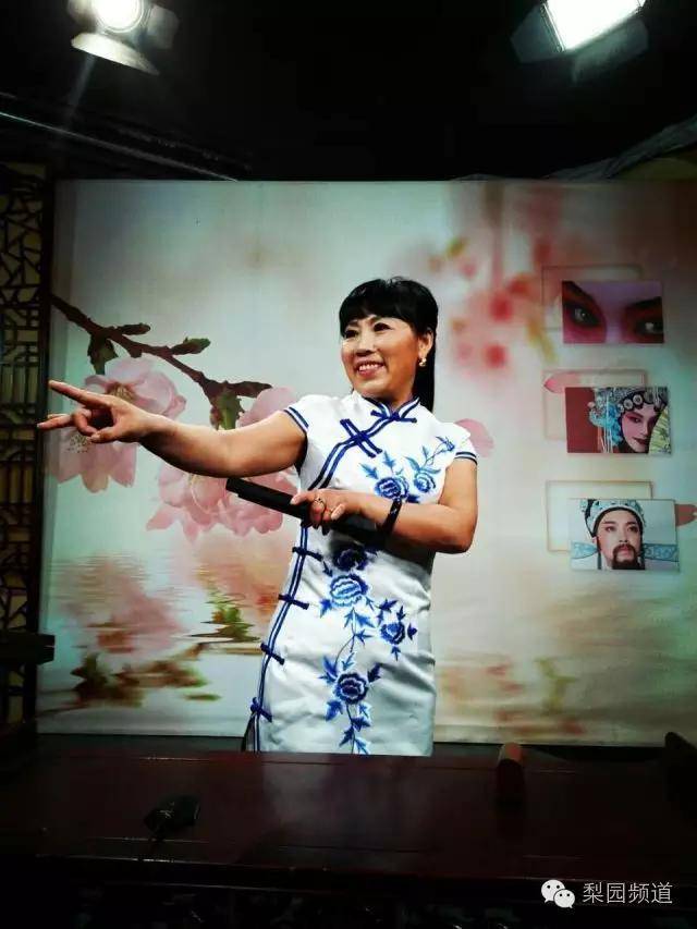 河南坠子胡中花演唱全集13部视频mp4打包下载含单官保投亲等 - 问答