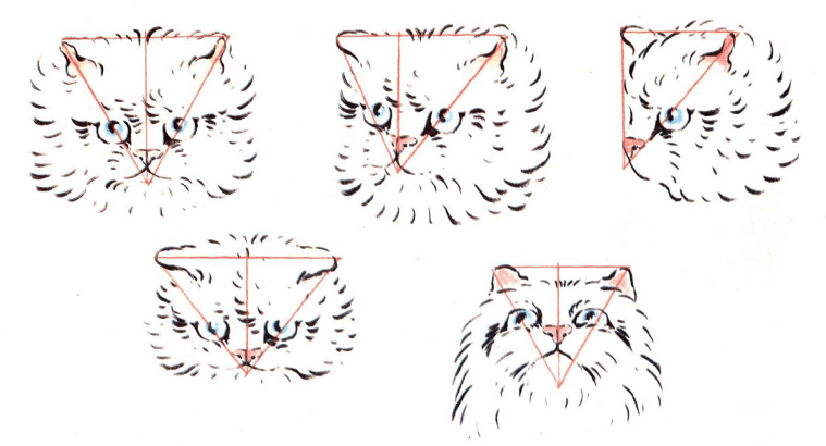 国画教程：一步一步教你画写意小猫