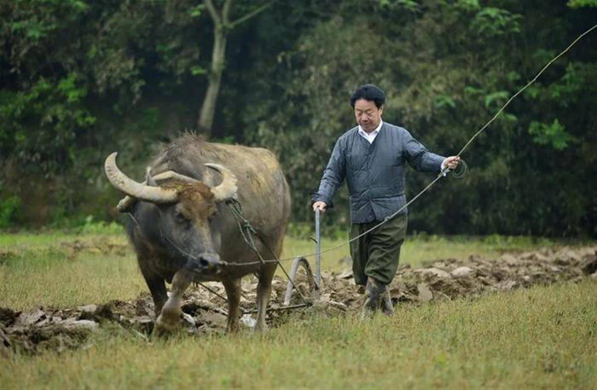南昌退休市长回乡当农民，13年后成“网红”