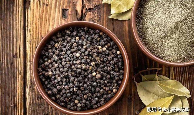 黑胡椒和白胡椒一字之差，用途却大不相同，看完后，别再用错了