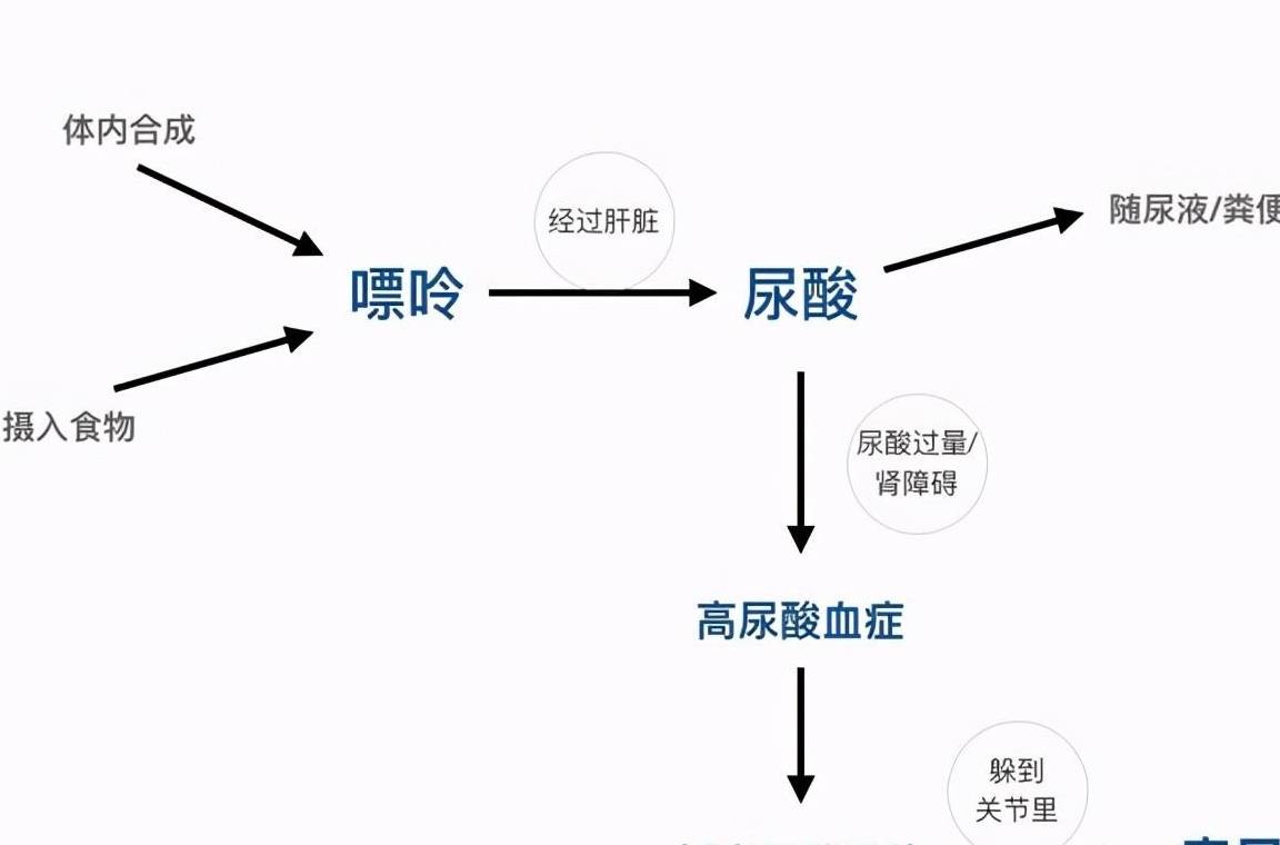 近一半高血压患者也有高尿酸，这两者有什么关系？治疗有何区别？