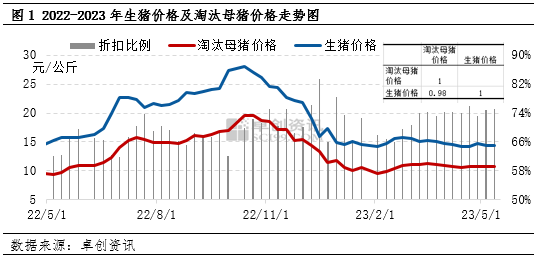 卓创资讯：淘汰母猪价格居高不下 三季度存下跌预期