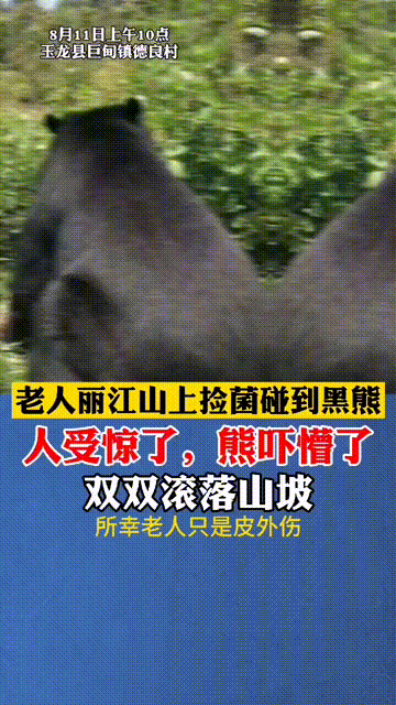 搞笑图文：我失恋了，正在房间里郁闷，来到我身边递给我一块巧克力