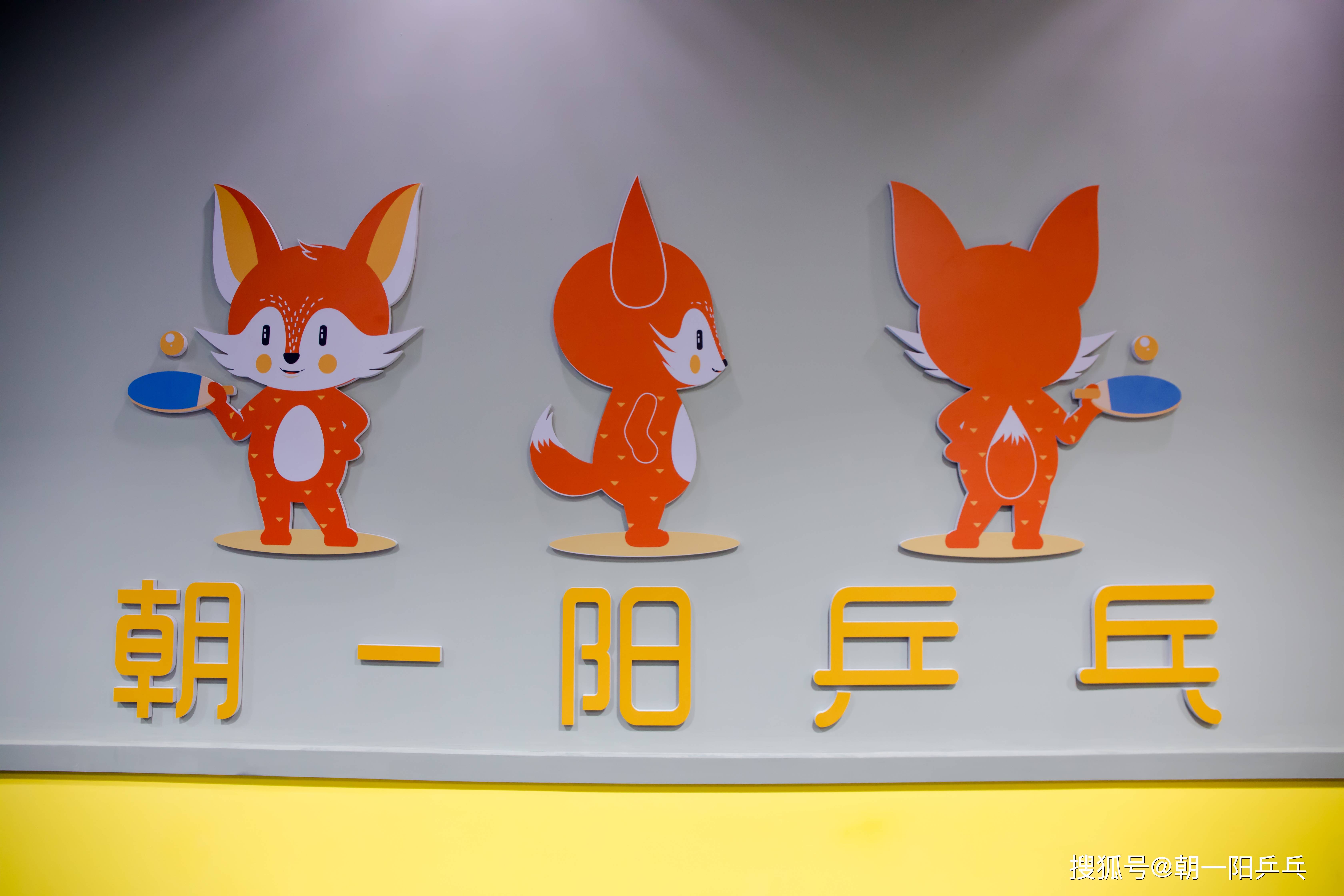 乒乓球基本功训练，儿童乒乓球启蒙课程