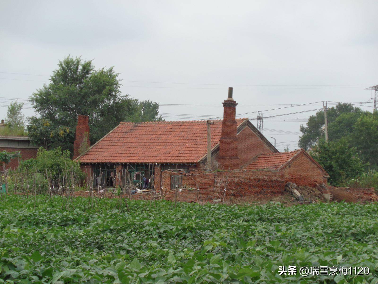 地名档案 | 铁西区大青中朝友谊街道小挨金村