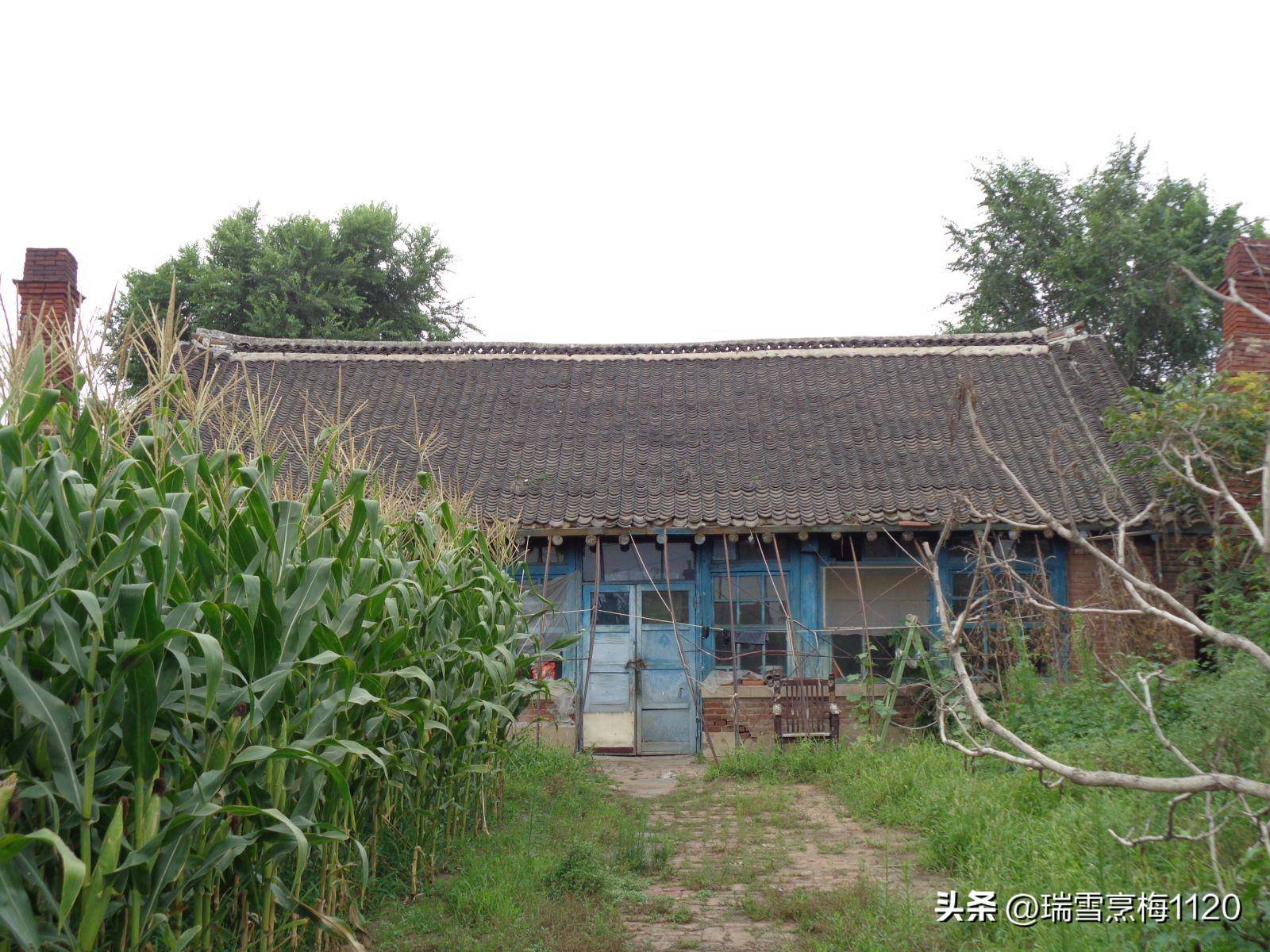 地名档案 | 铁西区大青中朝友谊街道小挨金村