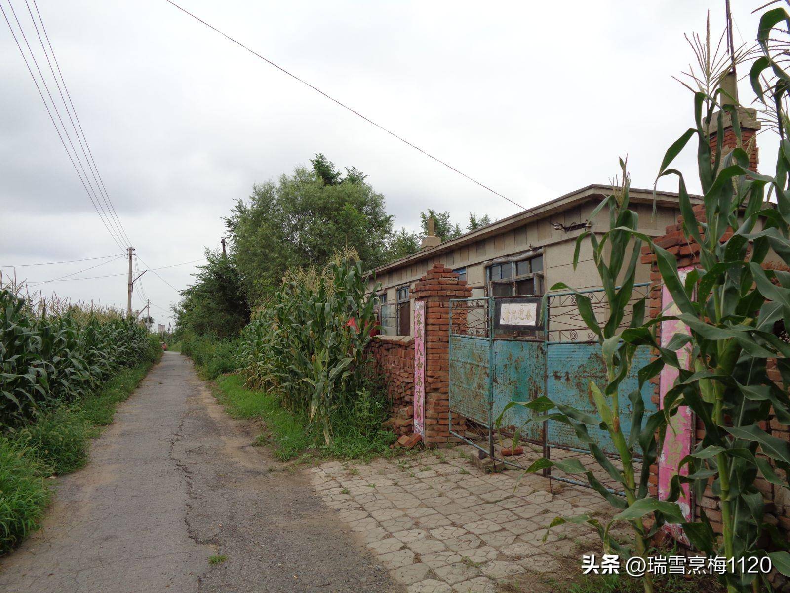 地名档案 | 铁西区大青中朝友谊街道小挨金村