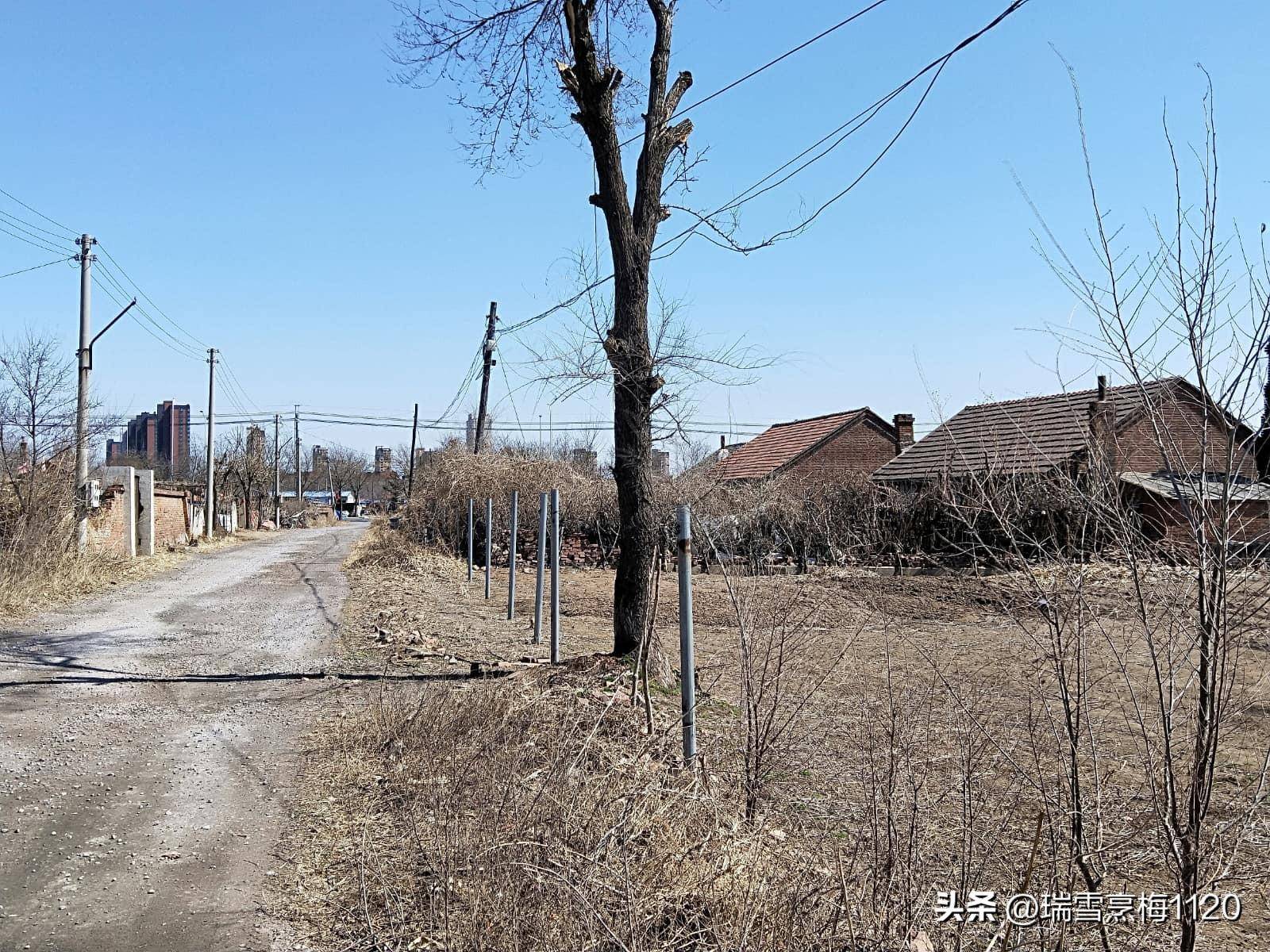 地名档案 | 铁西区大青中朝友谊街道小挨金村