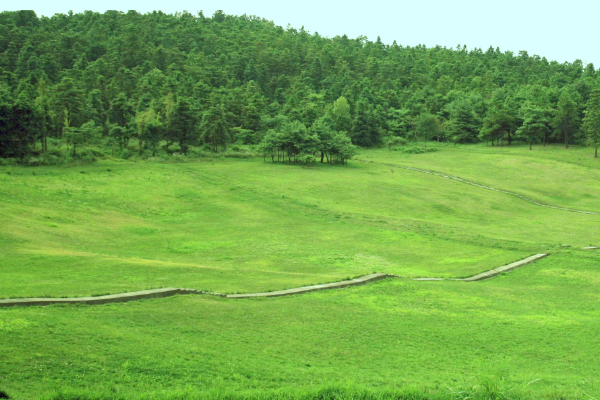 铜鼓县旅游景点