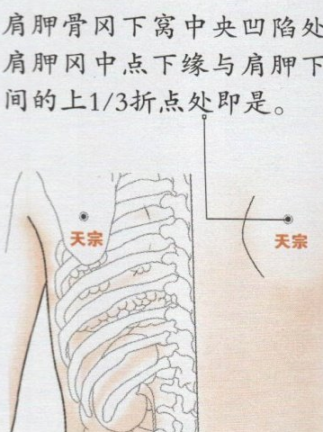 手太阳小肠经话养生，小肠功能失调，会有什么样的后果？