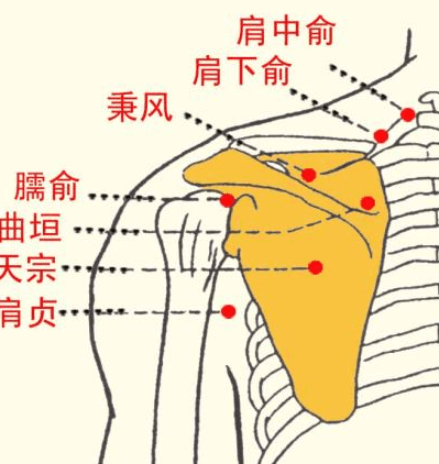 手太阳小肠经话养生，小肠功能失调，会有什么样的后果？