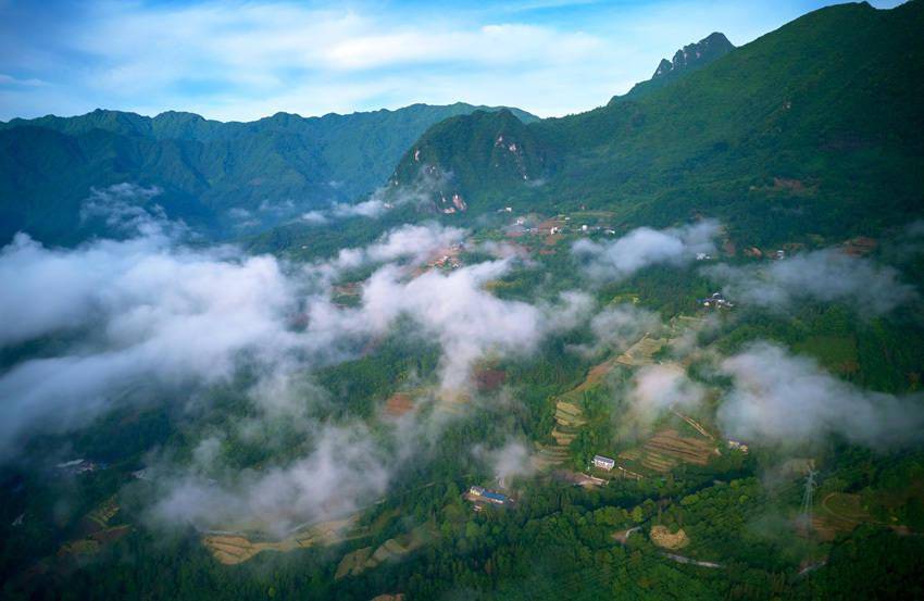 四川平武：风景美初夏，云海遇“公园”