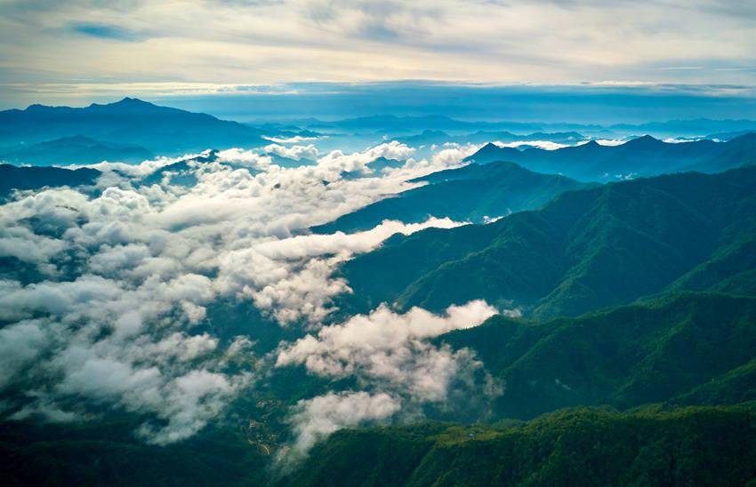 四川平武：风景美初夏，云海遇“公园”