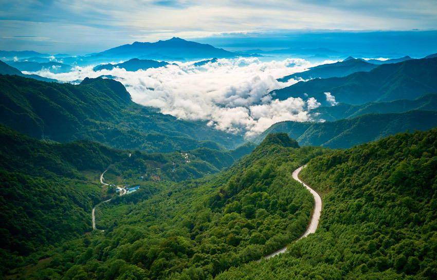 四川平武：风景美初夏，云海遇“公园”