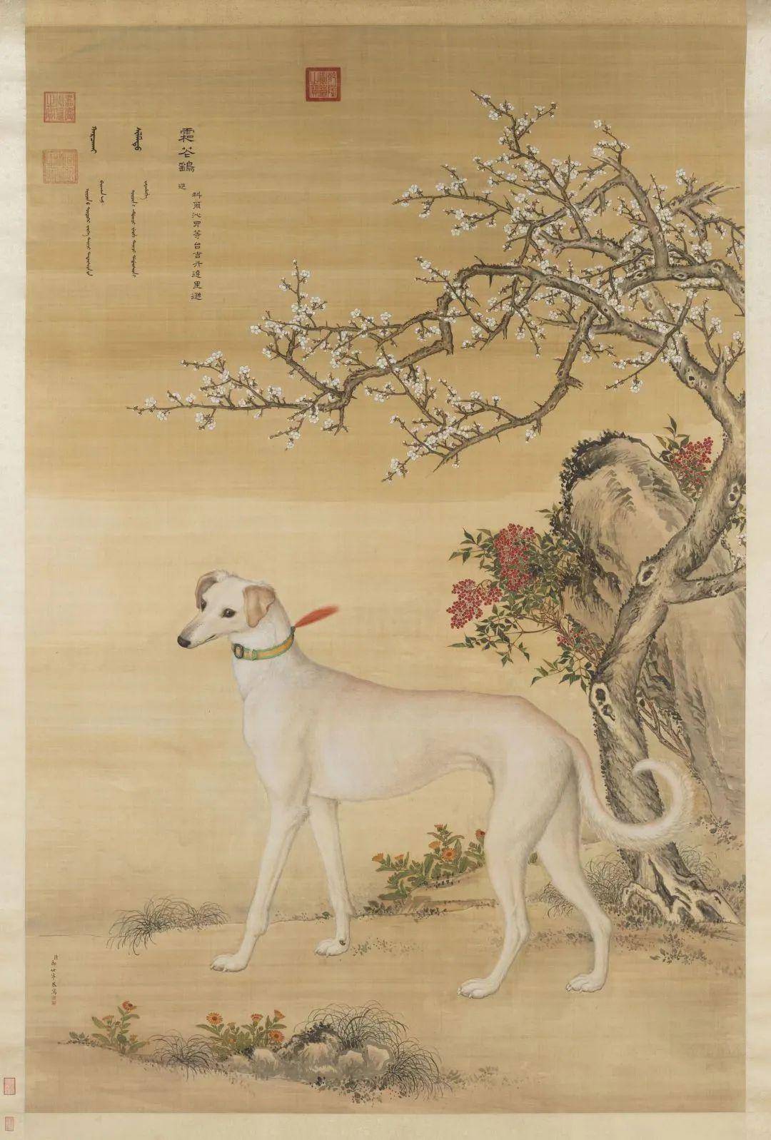 只是喜欢 | 甜甜圈