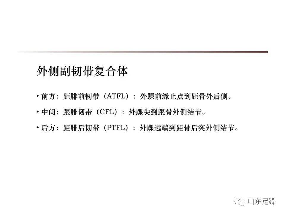 一文了解 | 踝关节影像学检查