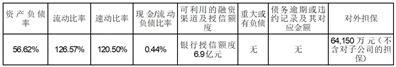 新湖中宝股份有限公司关于控股股东股份质押的公告