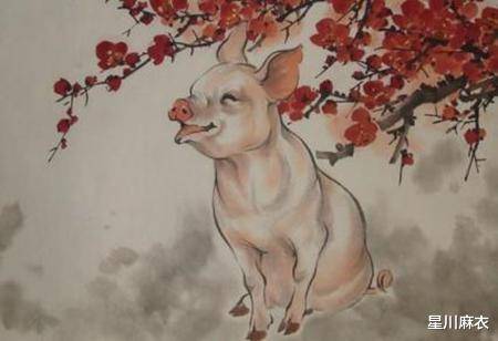 7月总运属鸡、属狗、属猪运势提点，属鸡稳中有升，事业有惊喜