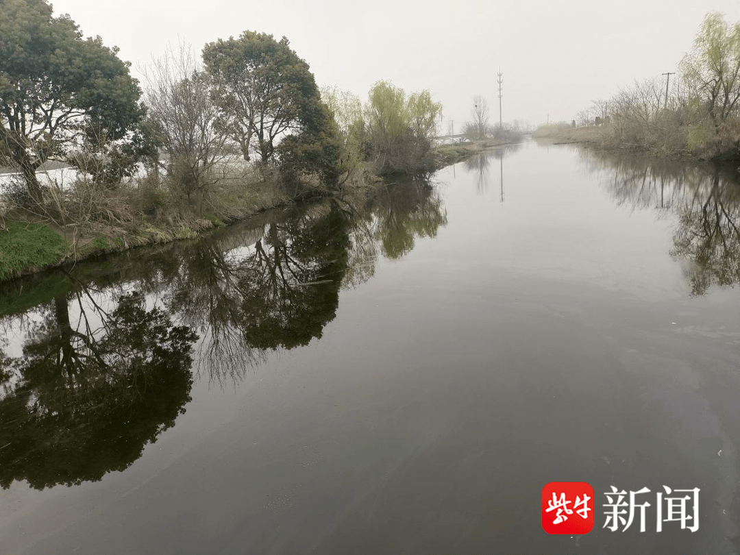 南通通州东社镇：清理枯黄植物，扮靓农村河坡