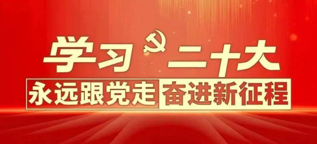 红安280余名“青燕”返乡实践