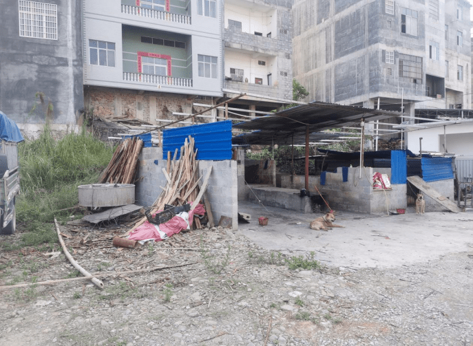 隆林县依法拆除一违法占用耕地的畜禽售卖屠宰场