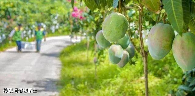 【高考作文】材料作文“回头”“向前”审题分析与例文导写