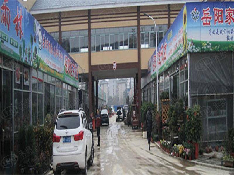 岳阳楼岳阳市花卉市场