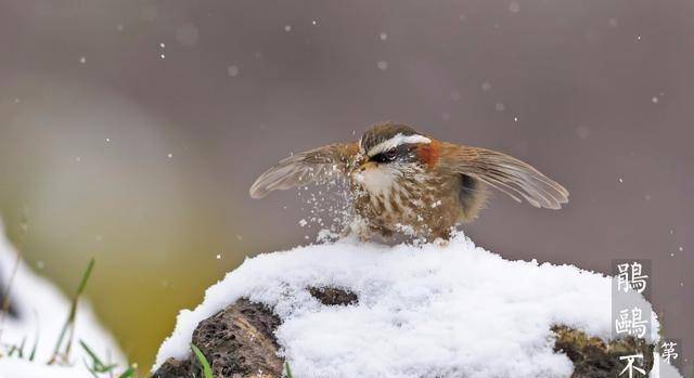 大雪节气：3宜3忌小心阴气最重的15天