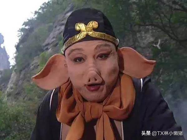 猪八戒照片大全图片 天上有那么多美女，为什么猪八戒非要喜欢嫦娥