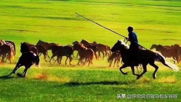 义乌青口鲜花店 什么样的景色是最美的