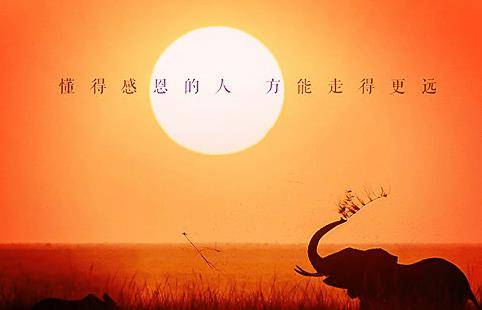 非常现实的英语生活感悟，句句都是真话，让人感触良多