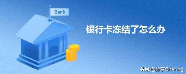 四弄的琴曲是 五瓣梅冬天怎么过冬